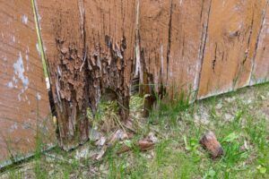 rotting wood fence, replace wood fence